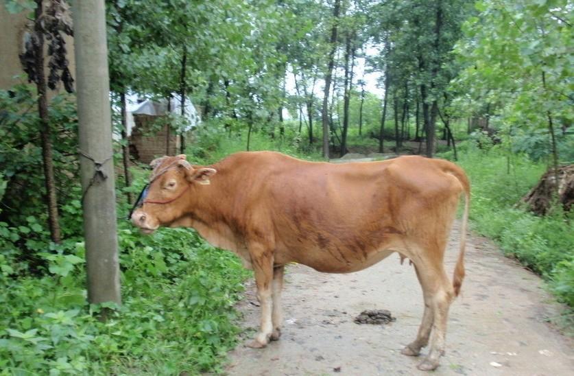 长兴最新求一个套医保卡的黄牛是真的吗方法分析(最方便真实的长兴求一个套医保卡的黄牛是真的吗还是假的方法)